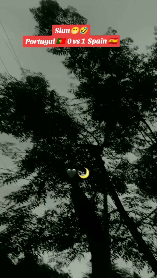 @🇸 🇦 🇨 🇭 🇮 🇳  🇩 🇰 🇭 🇷