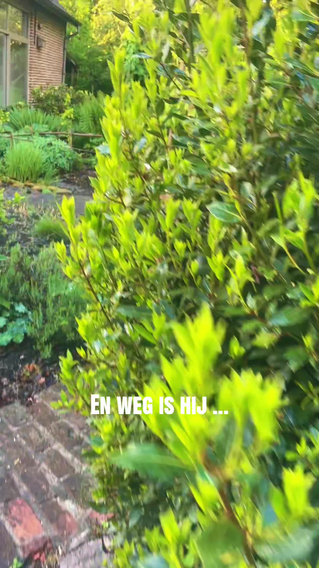 @Veveke 🇧🇪
