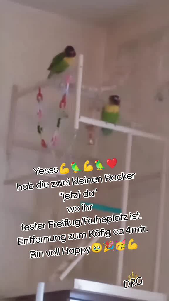 @🏳️&zwj;🌈💙꧁💥𝕐𝕧𝕚💥꧂💙🏳️&zwj;🌈