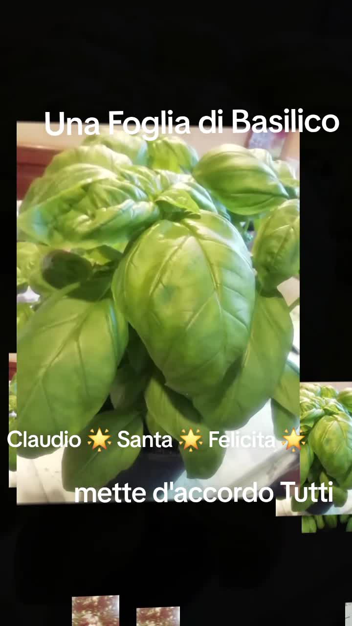 @Claudio Santa Felicita