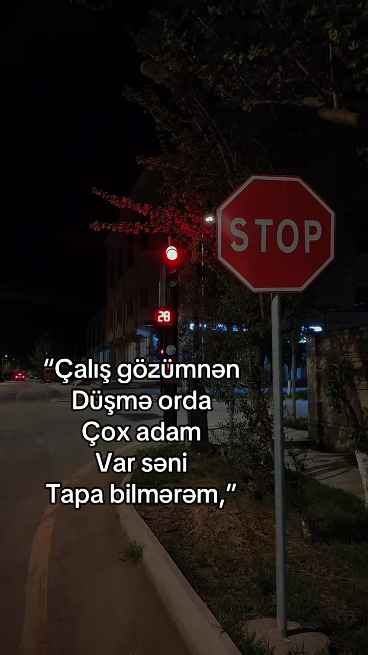@★彡 VİNİSDON 彡★