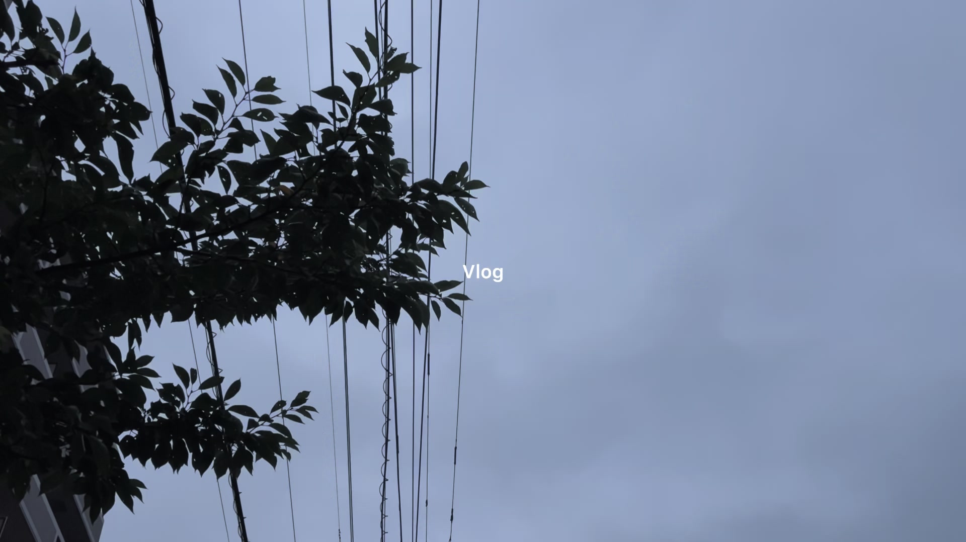 @ソ ル