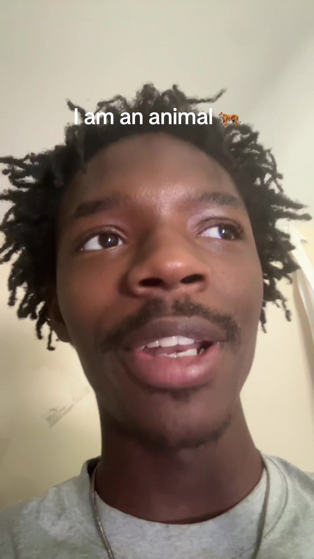 @yo_shasten