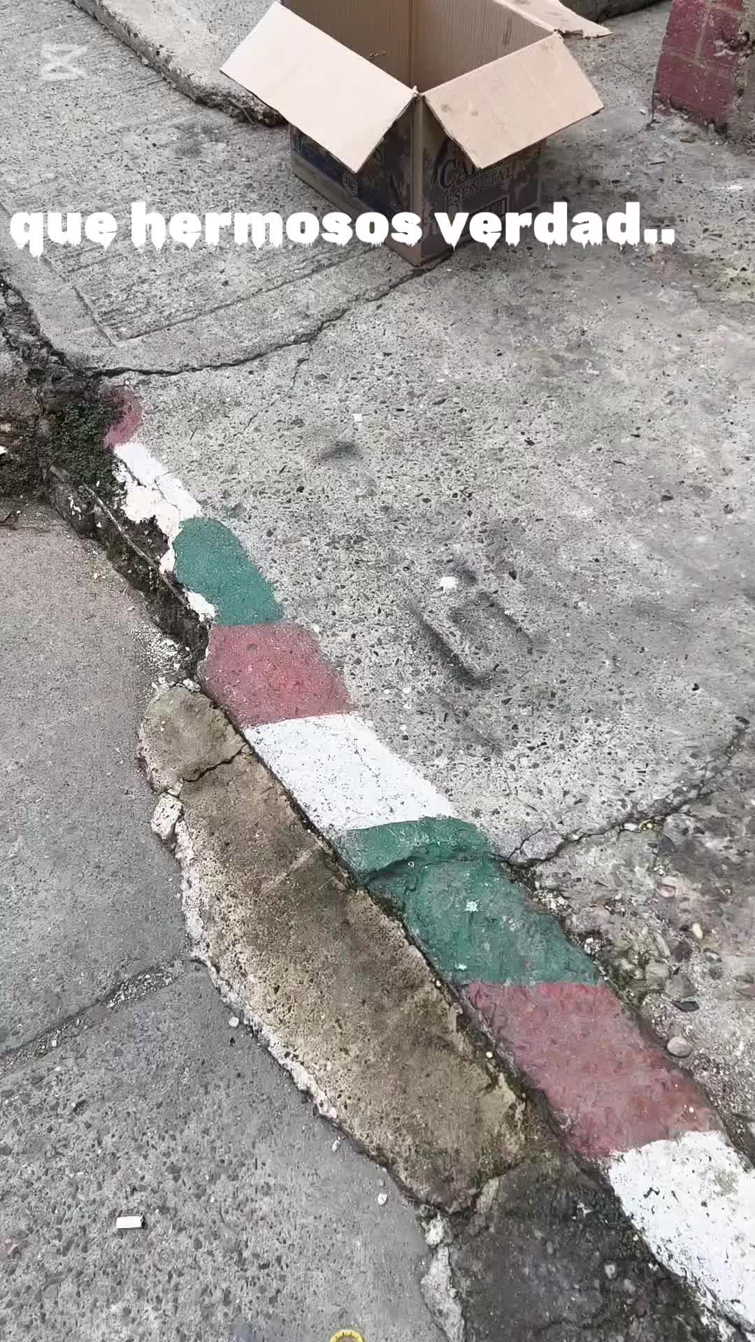 @el_gatoescobar