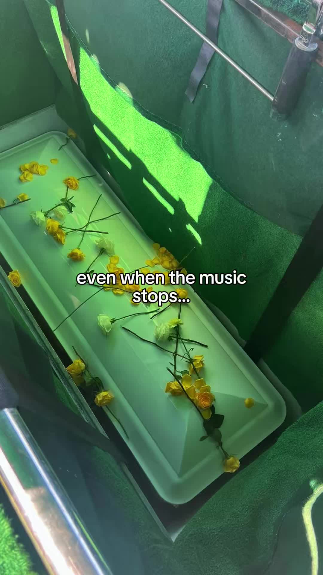 @C.J💔