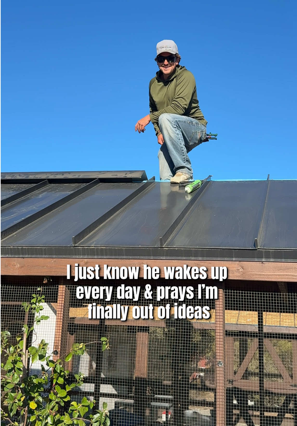 @Simply Chickens