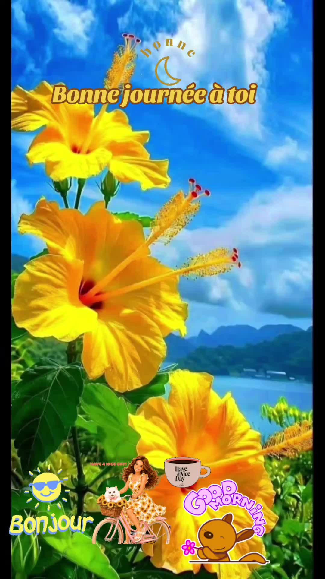 @mary97yoyo