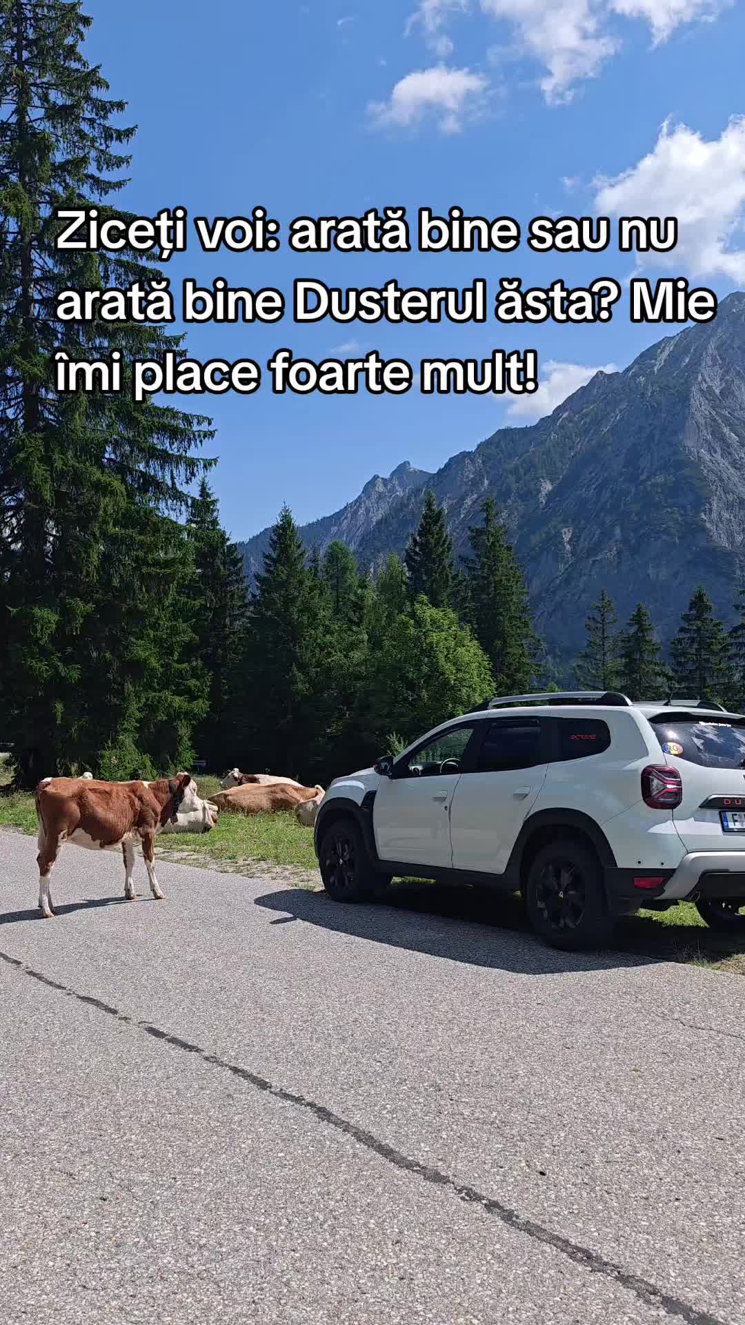 @ionuthabuc_duster_fan