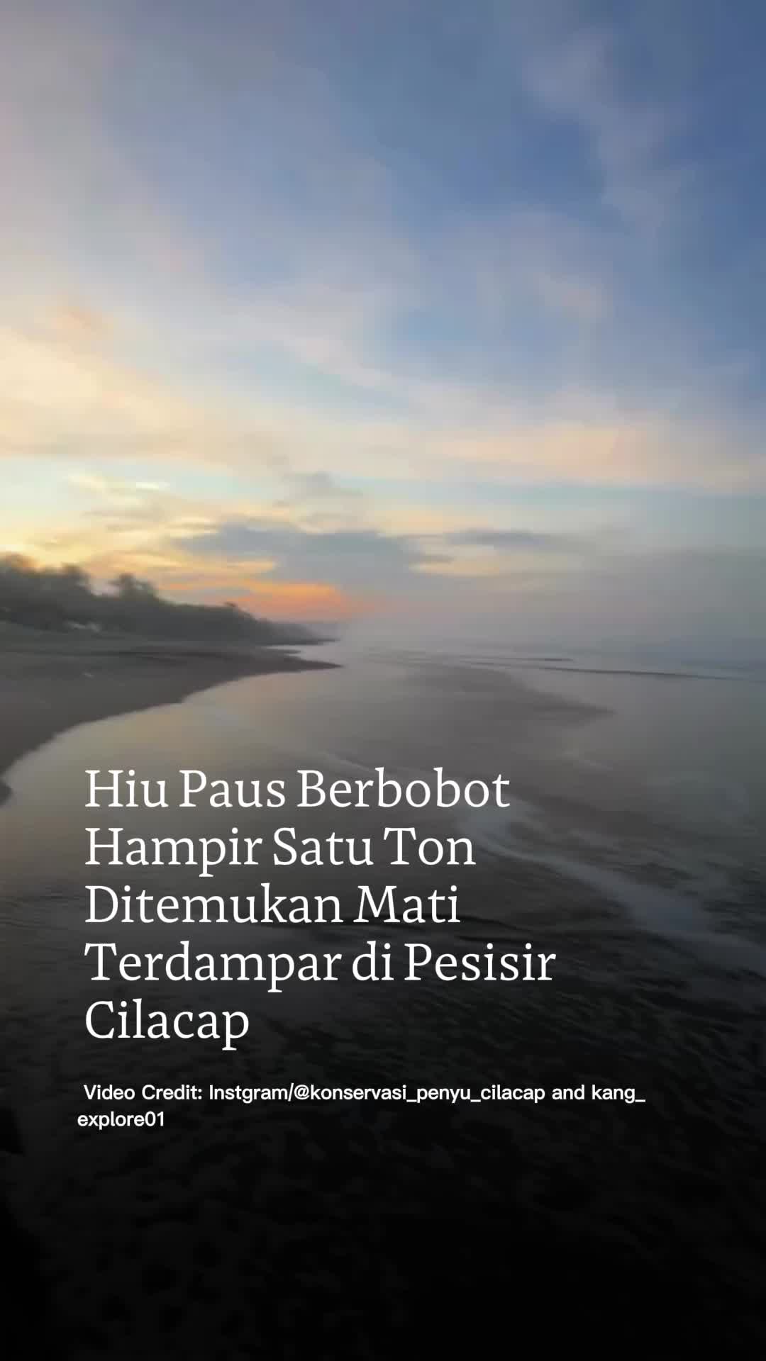 @mongabayindonesia