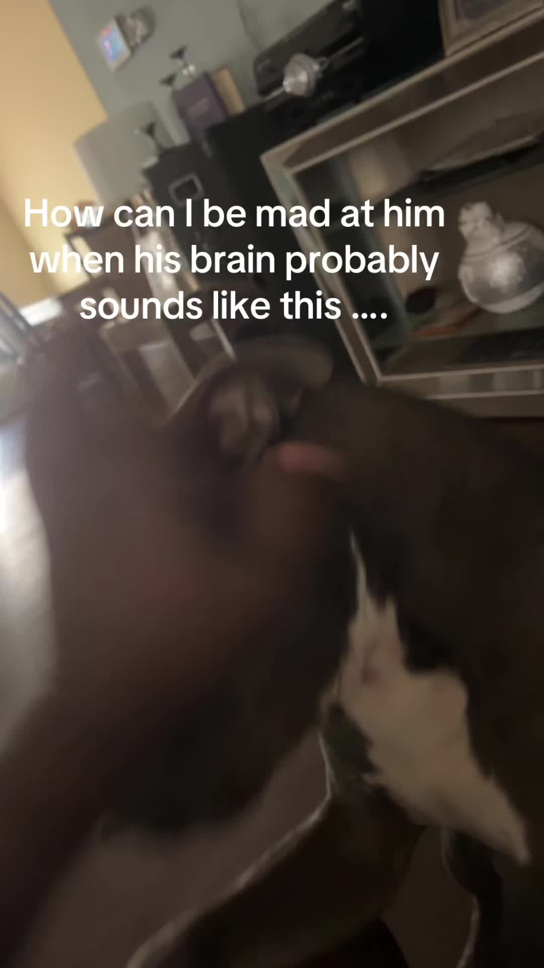 @sammysosafrm803