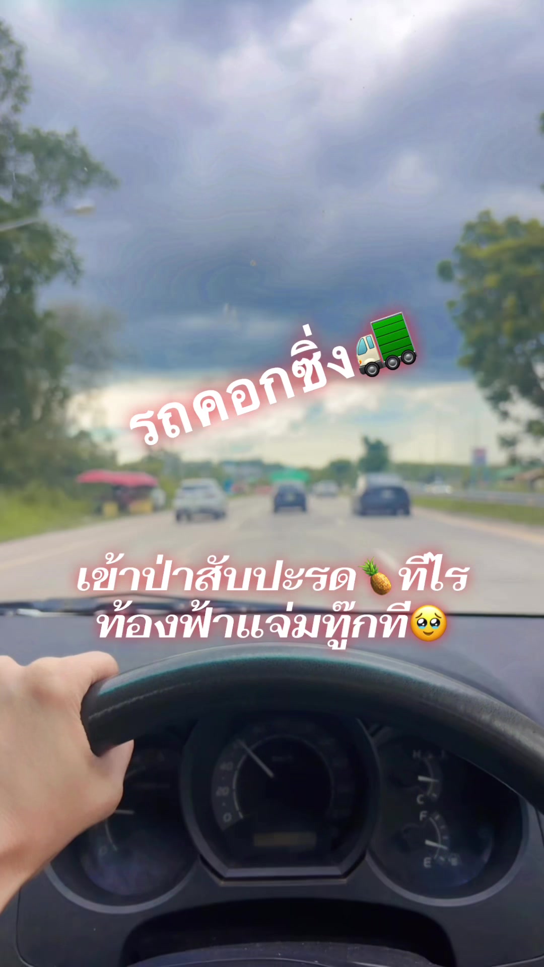 @🌻แม่แก้วของปูนปั้นกะปลาวาฬ🌻