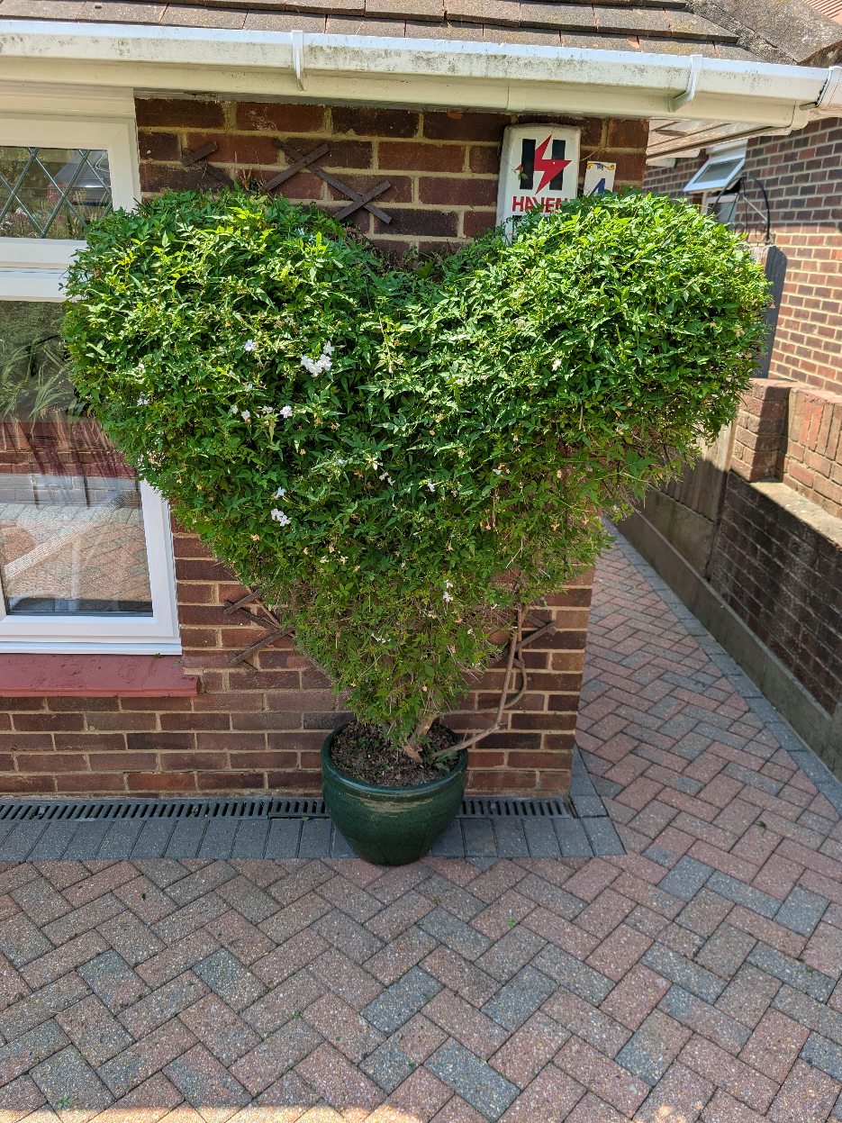 @Gary Hall Garden Services