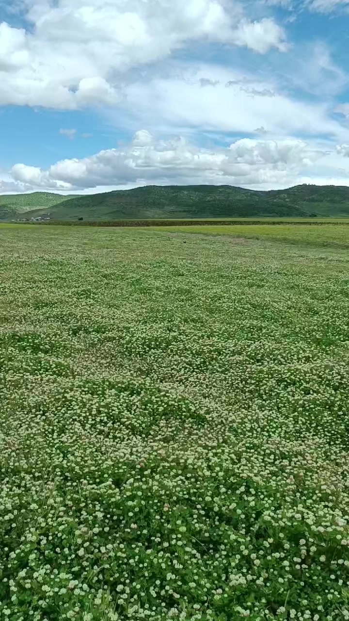 @koçer.12