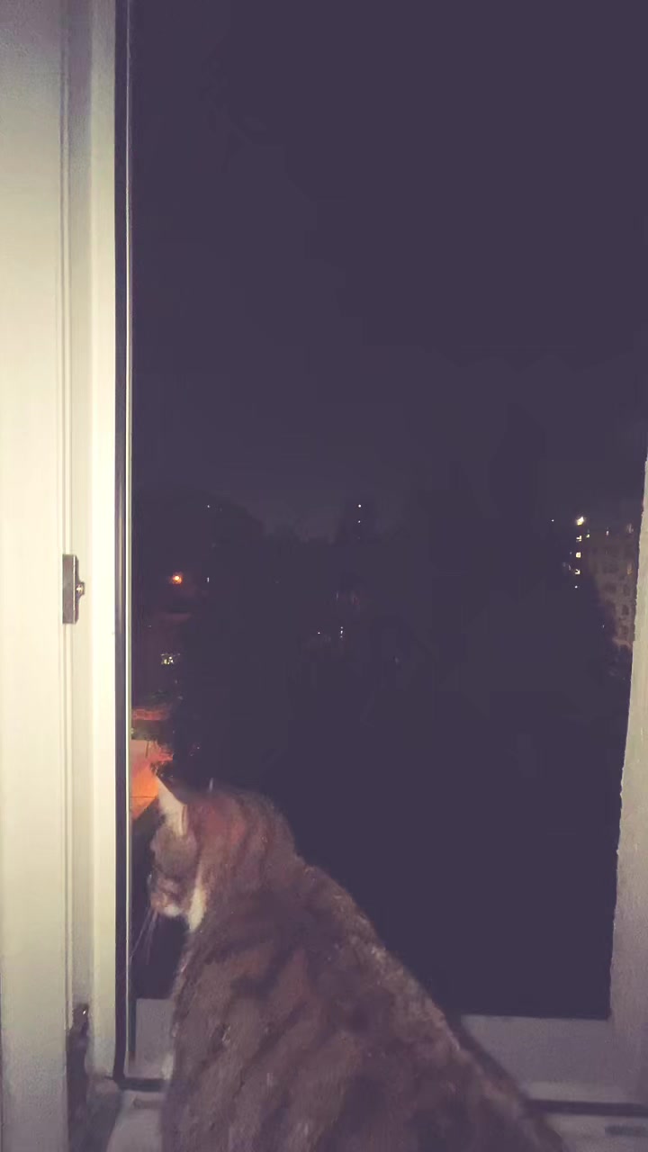 @dawn