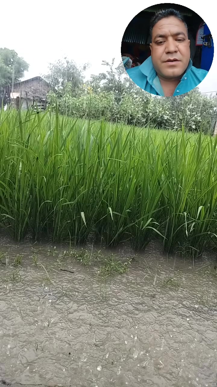 @kabiram budhathoki