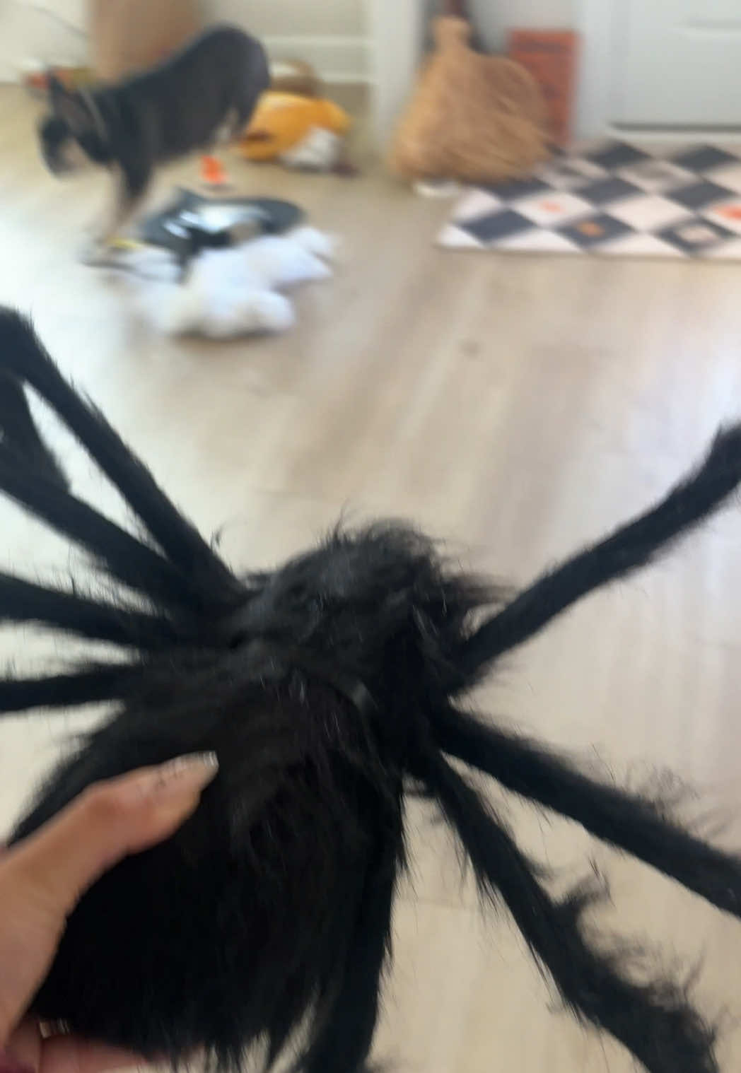 @Katryce