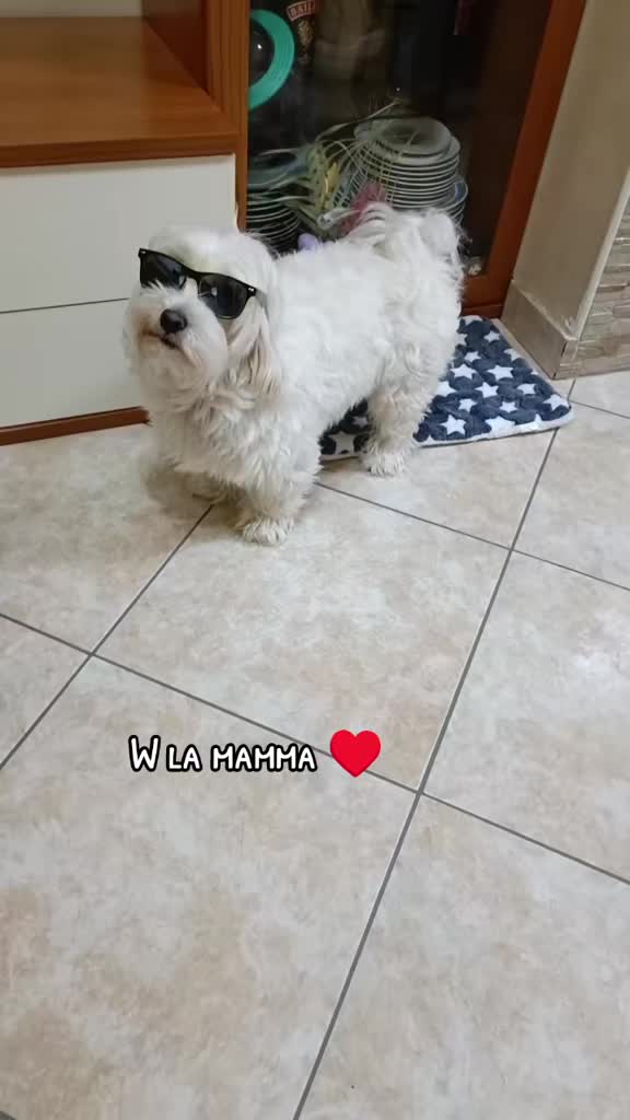 @Tonia E Neve ❤️