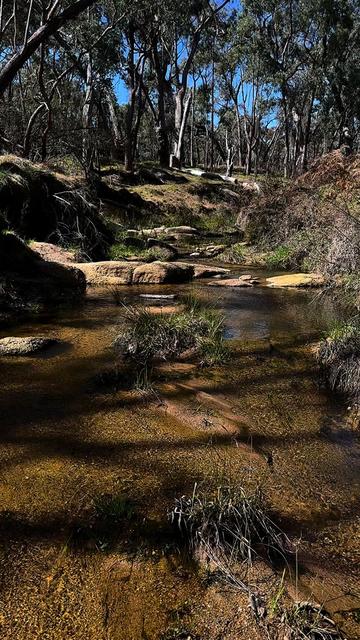 @charismatic_quokkaa
