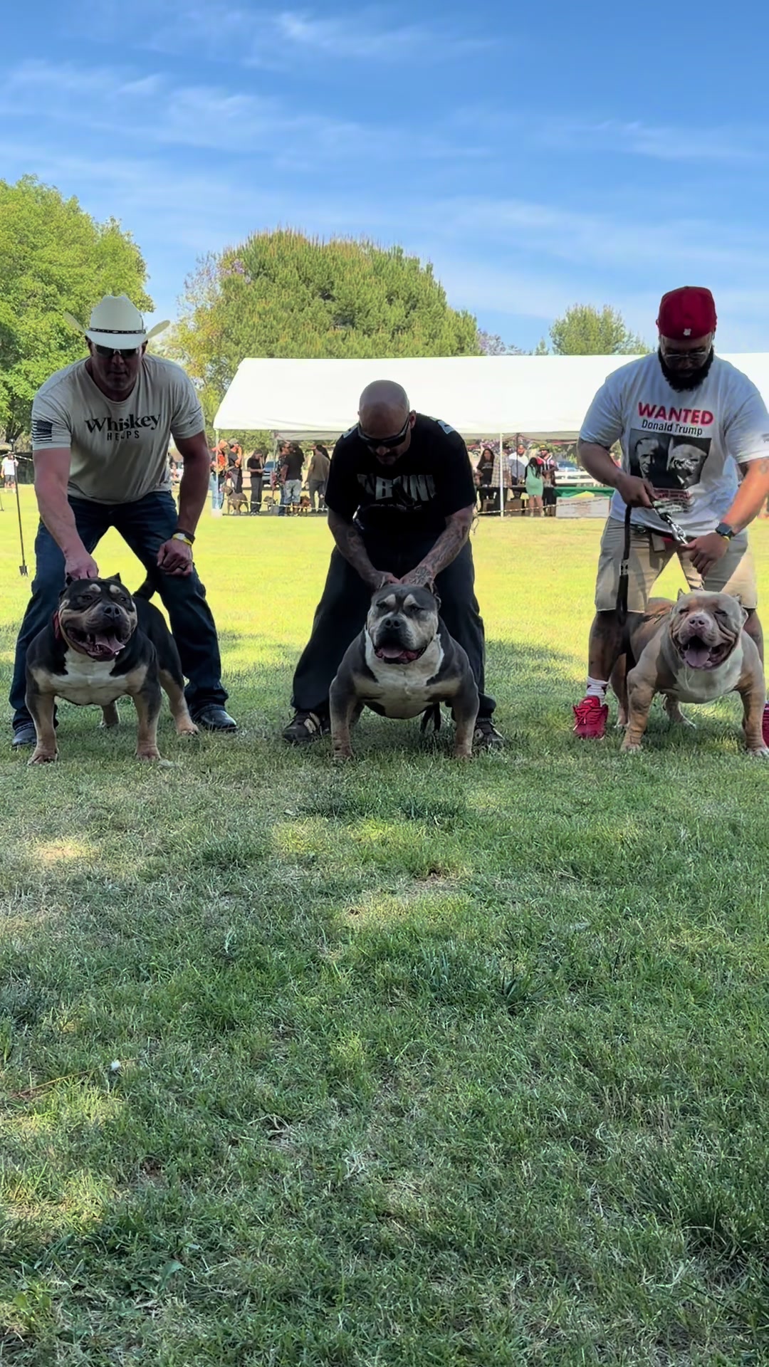 @@Dublinekennels