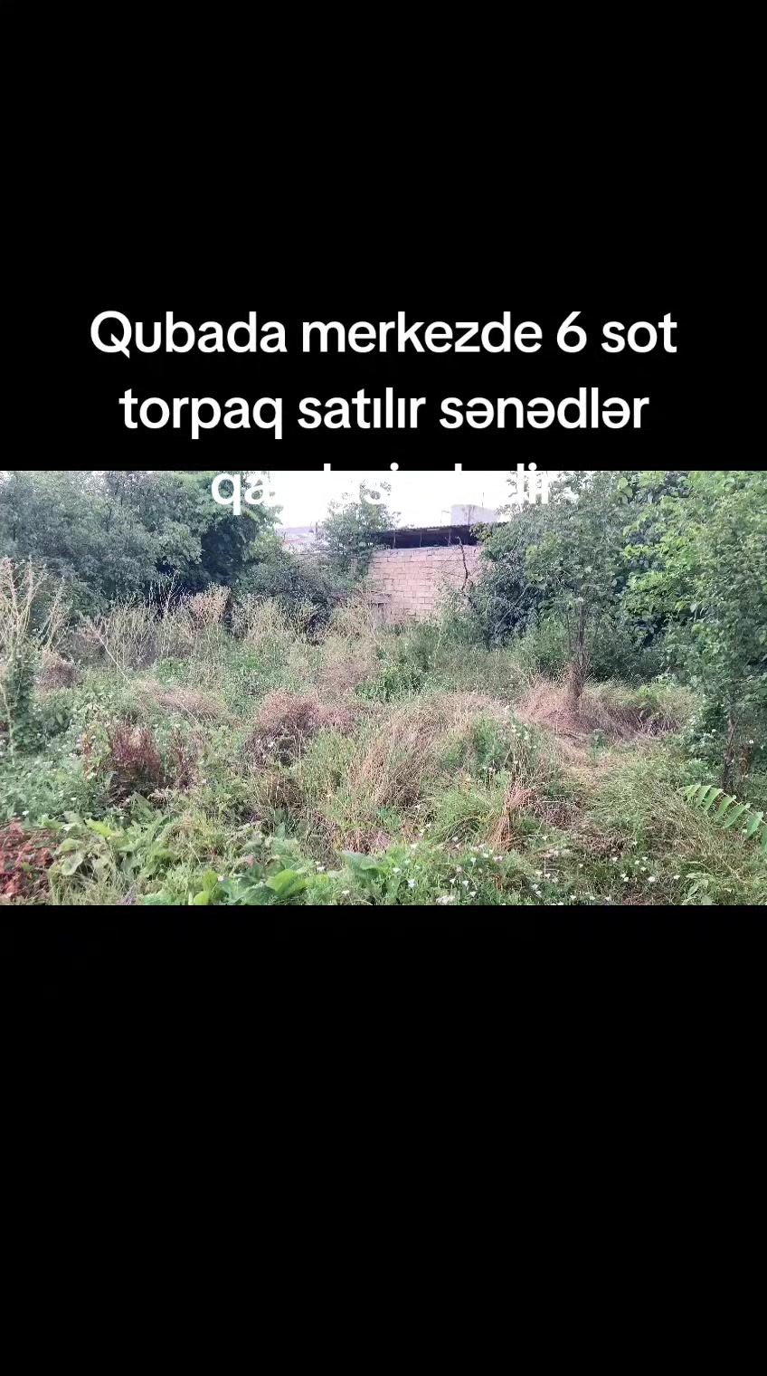 @Feran Mehtiyev