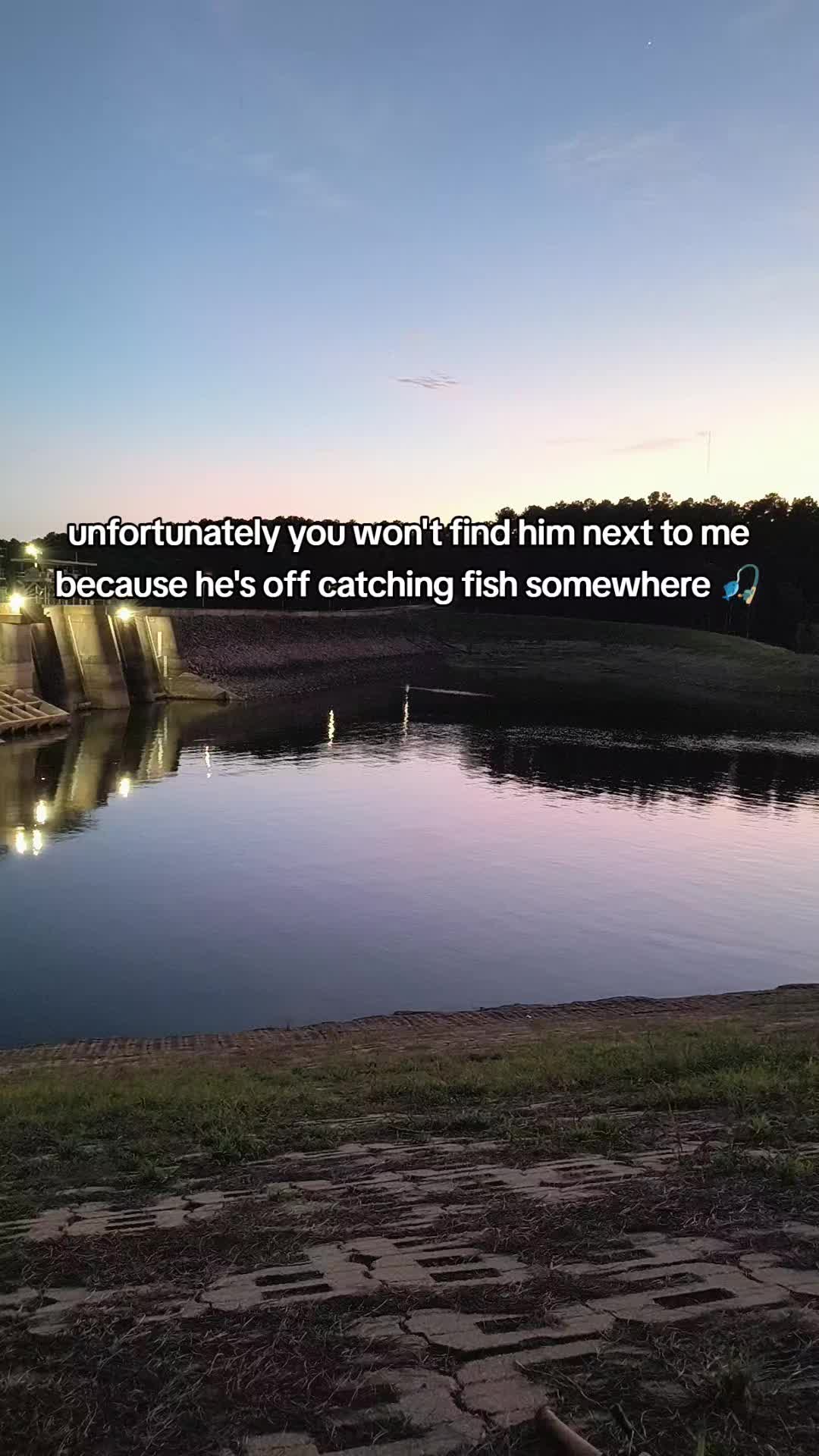 @🦋 Kota 🦋