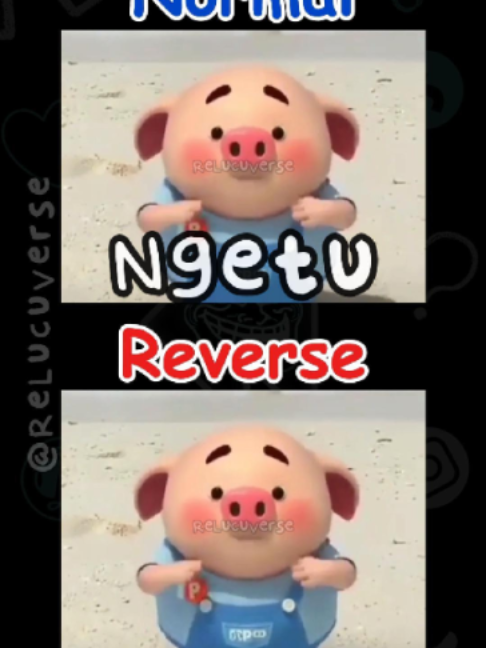 @ReLucuVerse