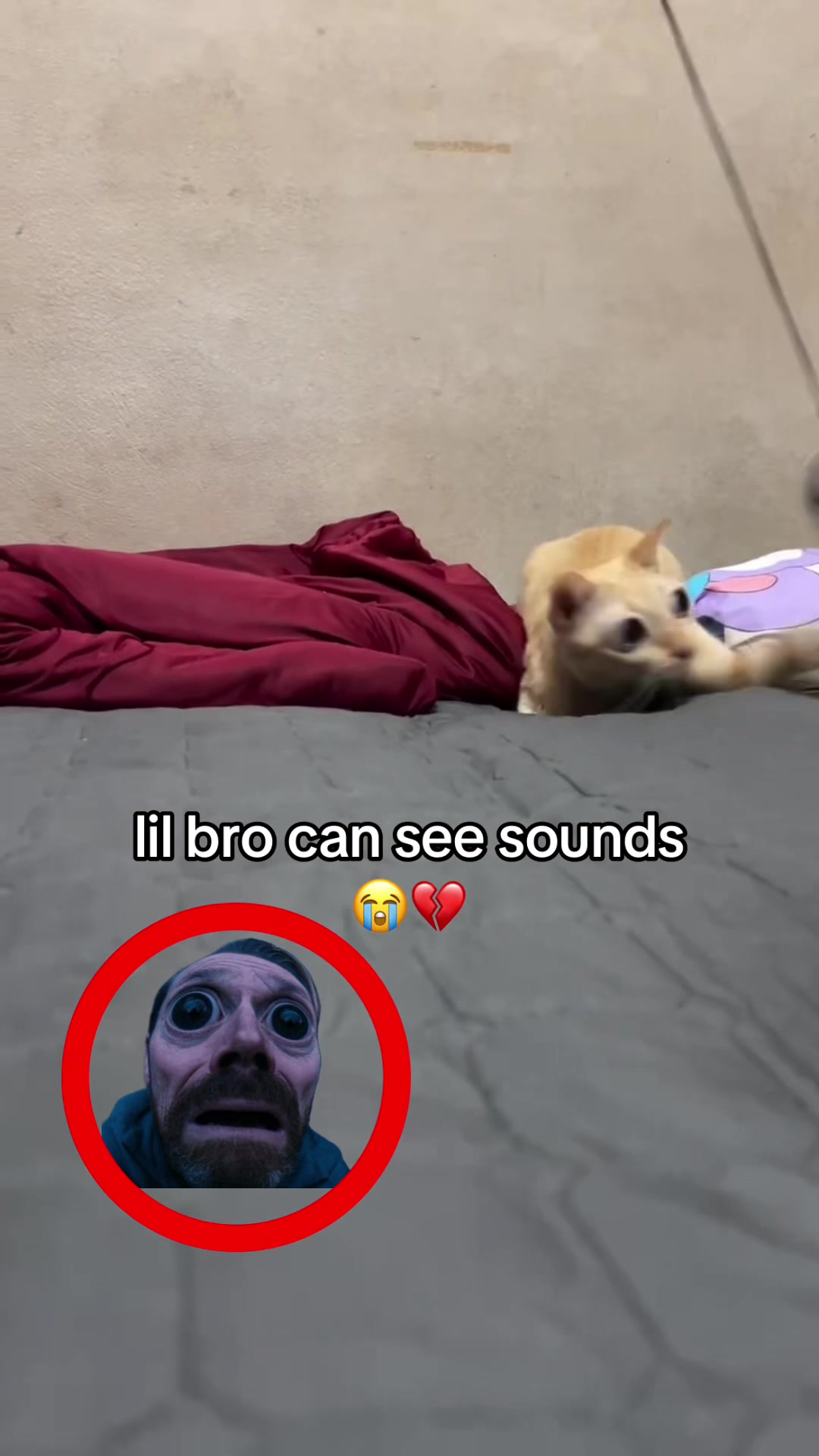 @bababooy1.2