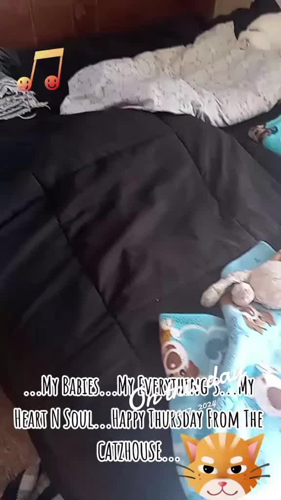 @Booh Hovey crazycatlady3