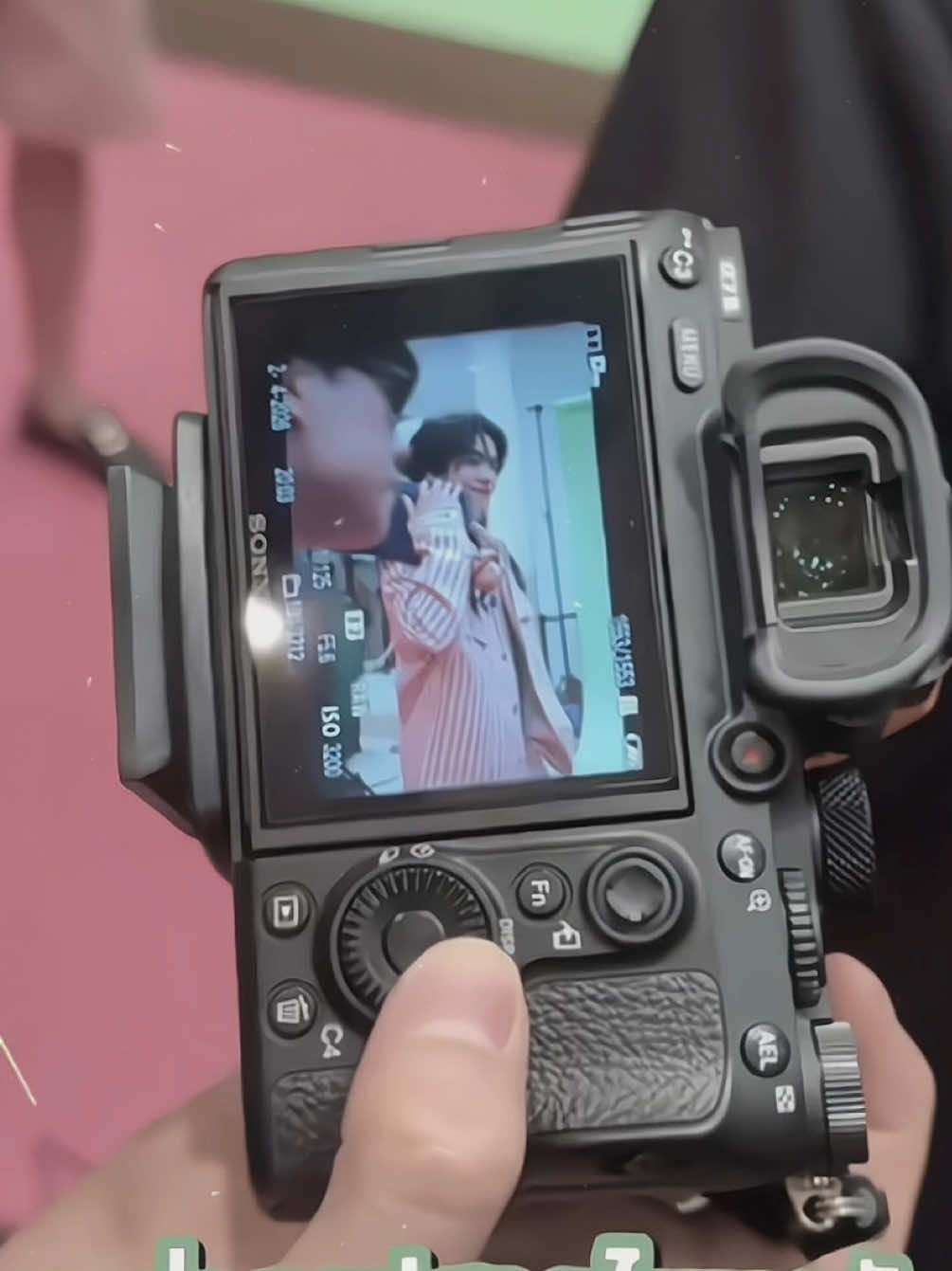 @꒷꒦🪼꒦꒷