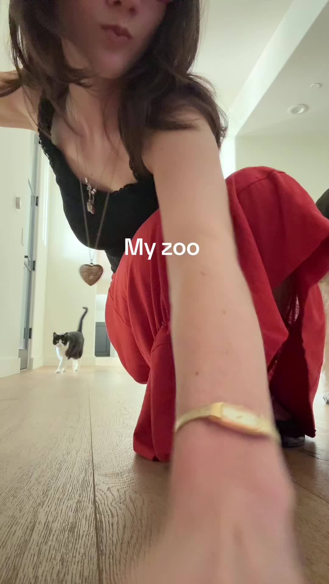 @brighton zeuner