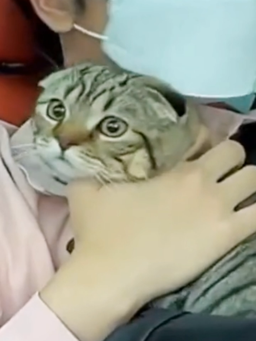 @_BaoChi_