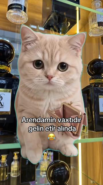 @Rufa_parfum_