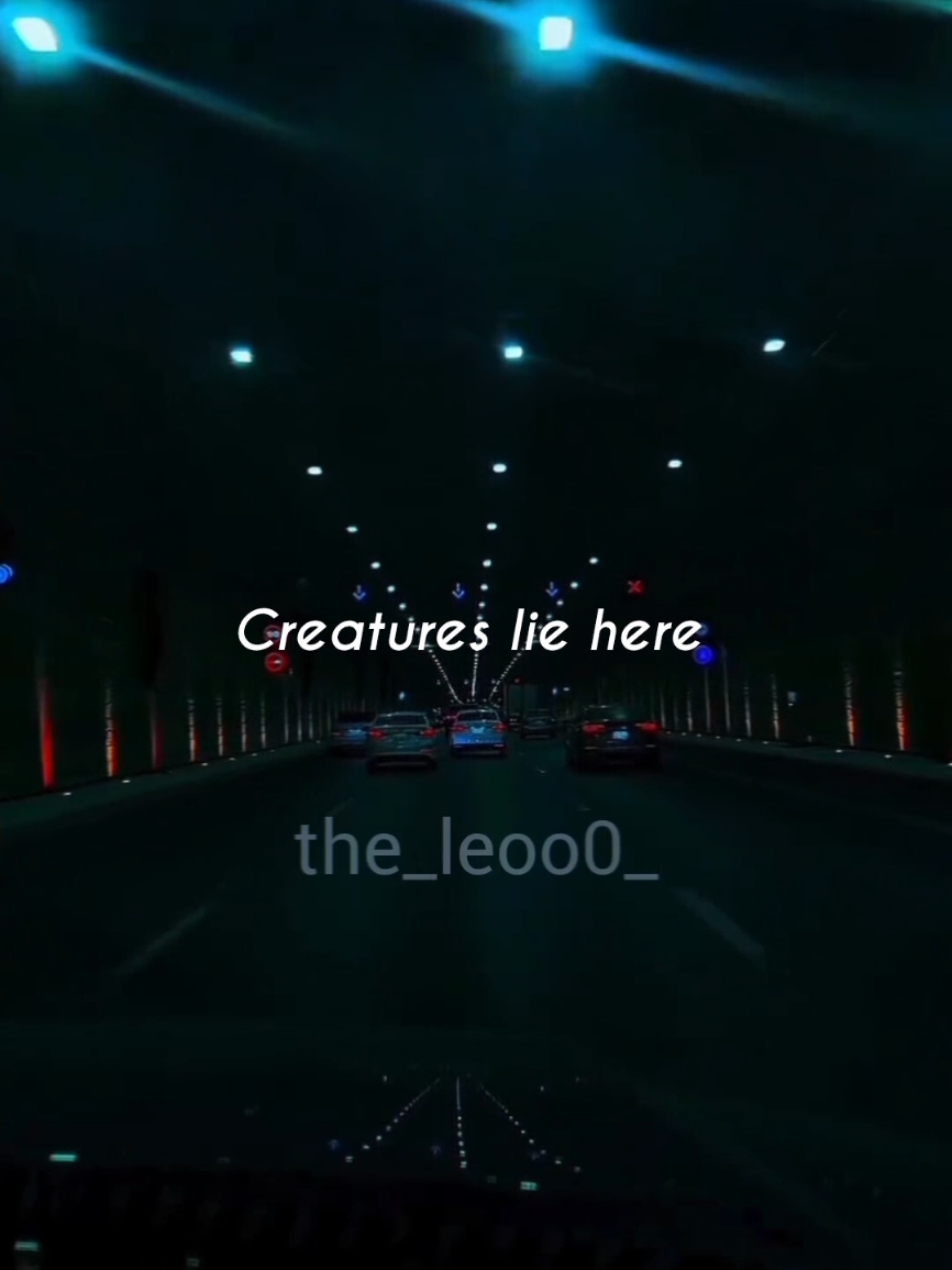 @👑leoo