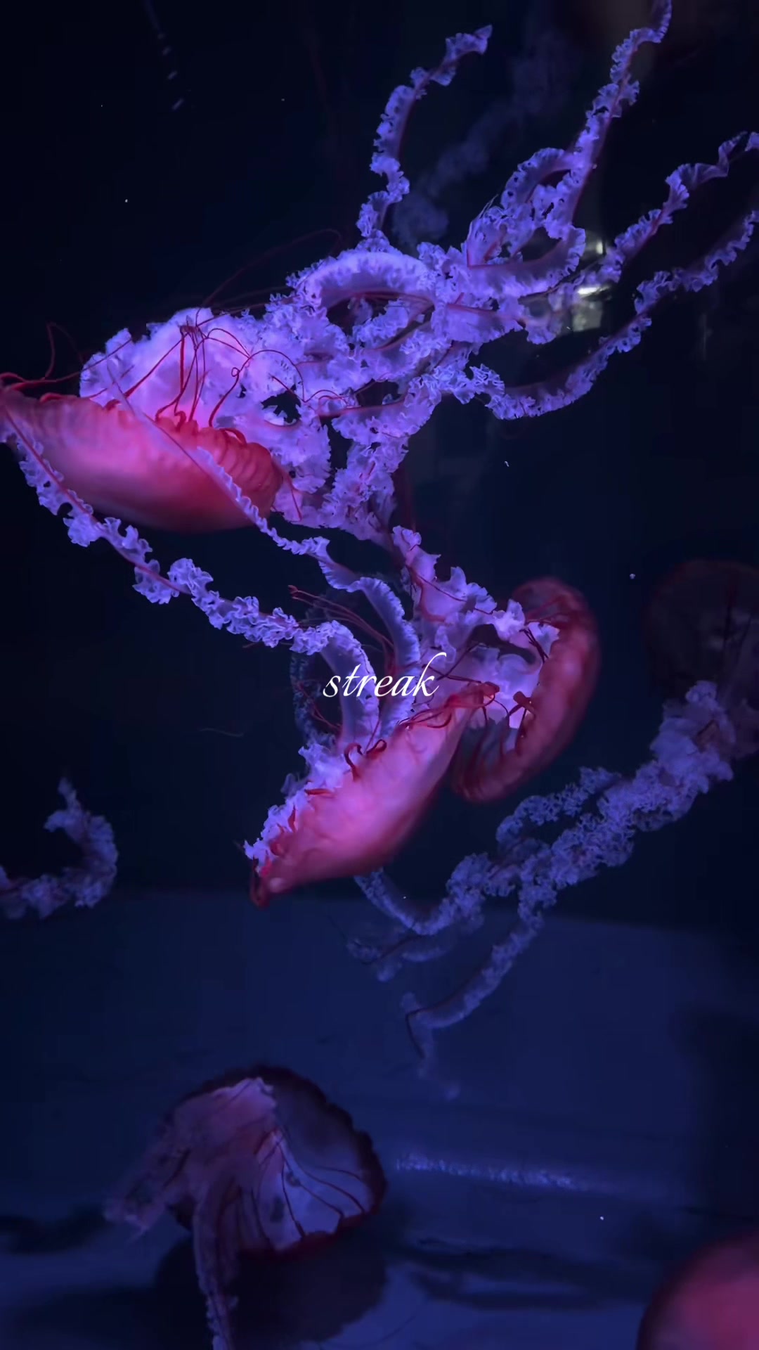 @⃟