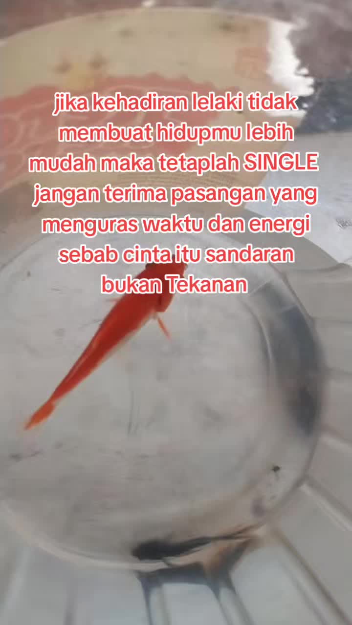 @Kurniacahaya