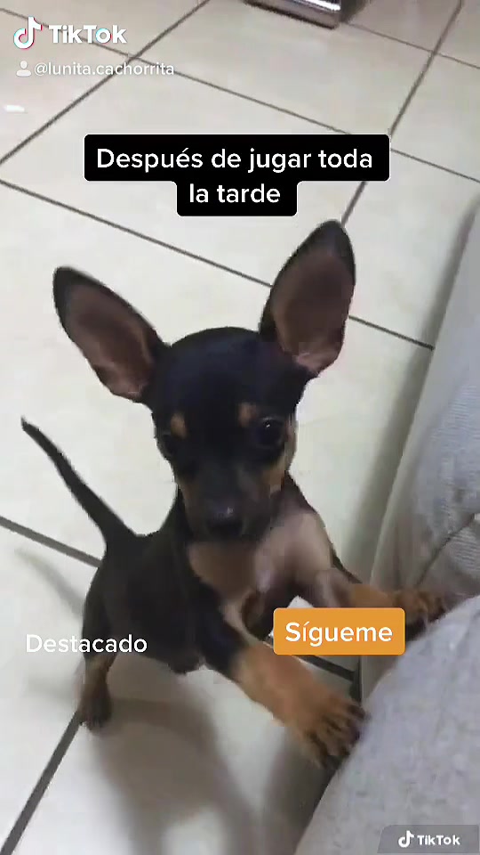 @Team Luna