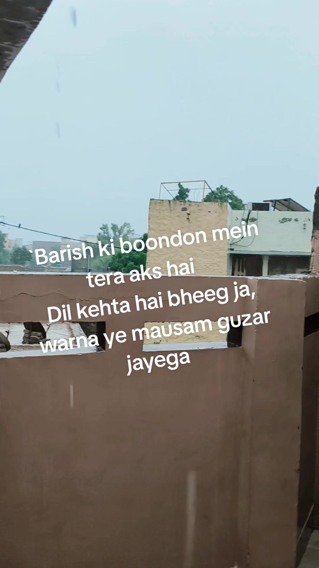 @VET Babar Mastoi14