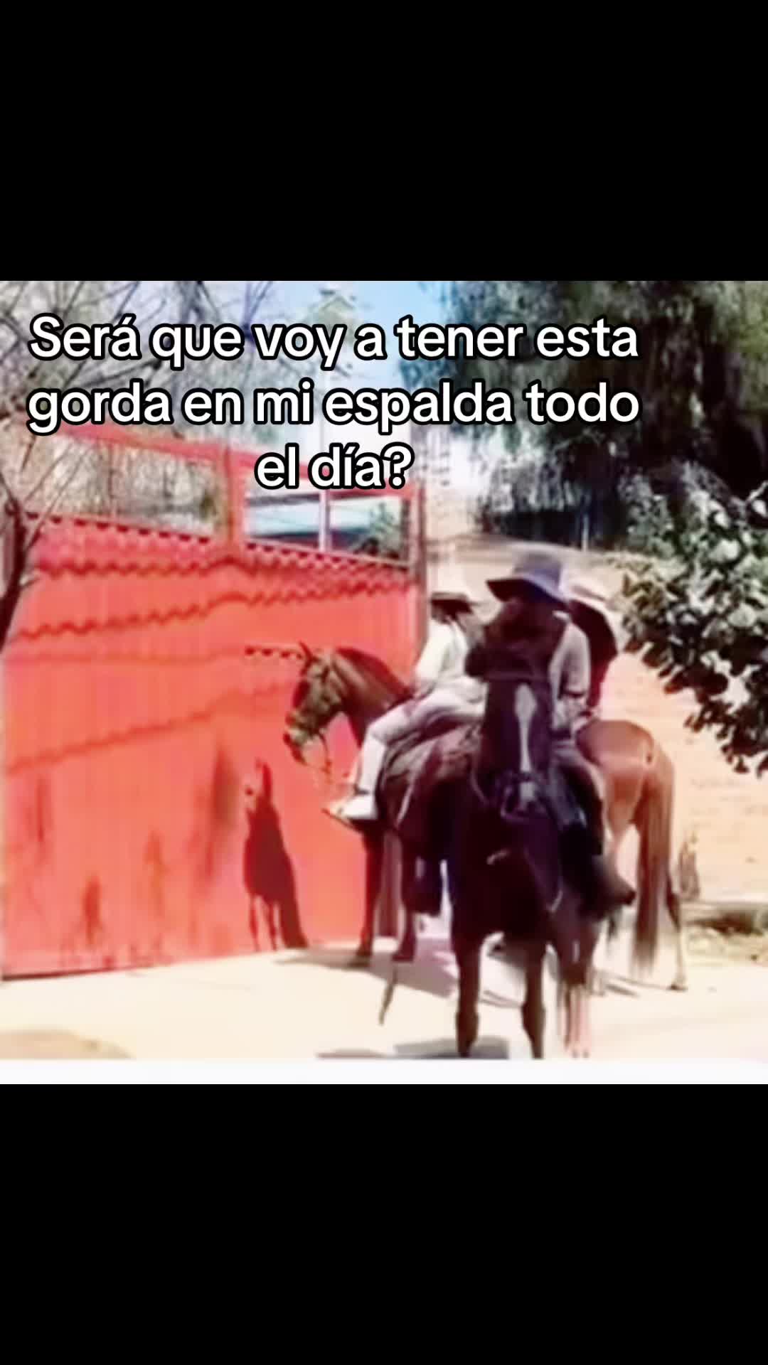 @Manuel Rosa