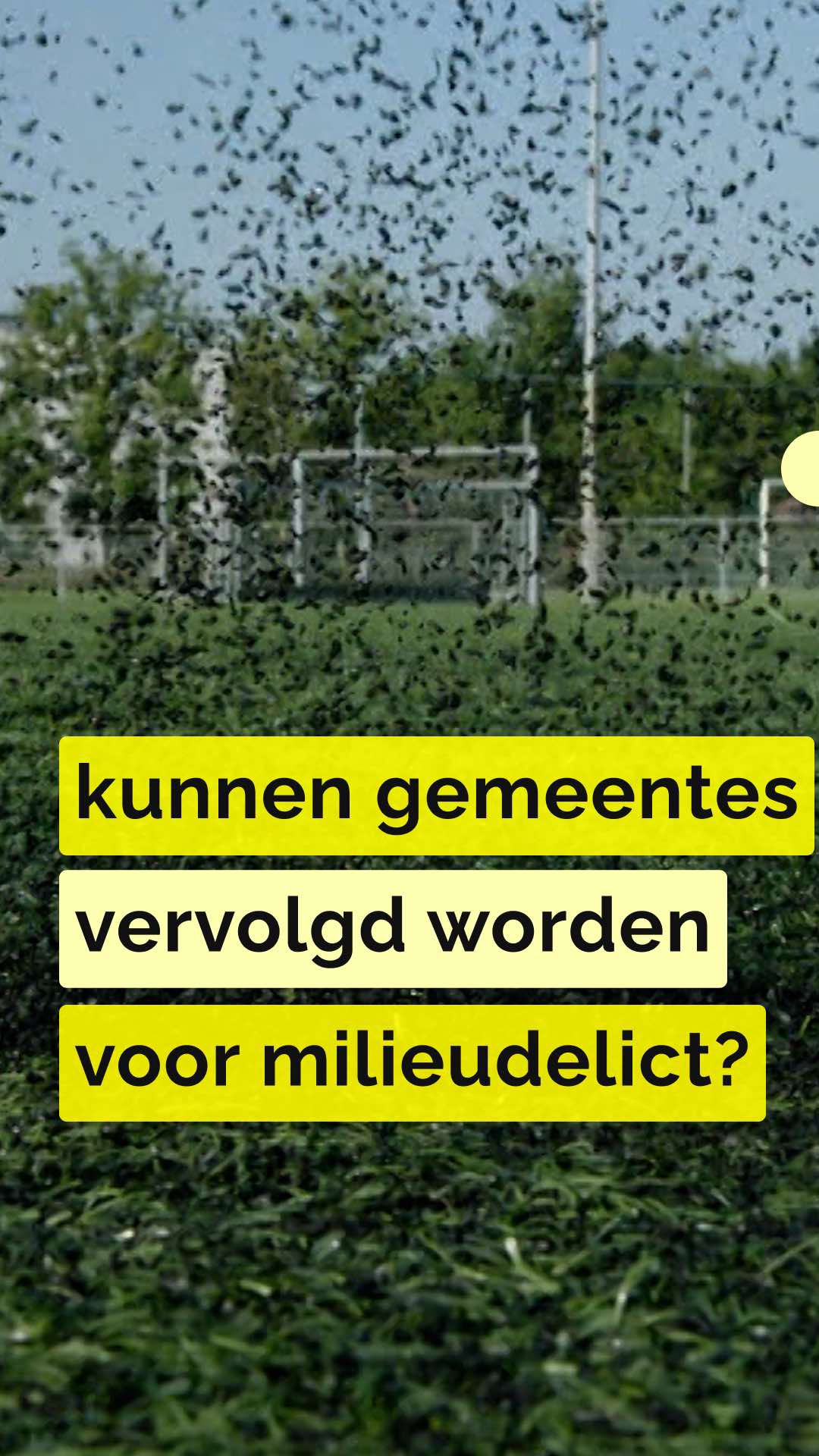 @Zembla