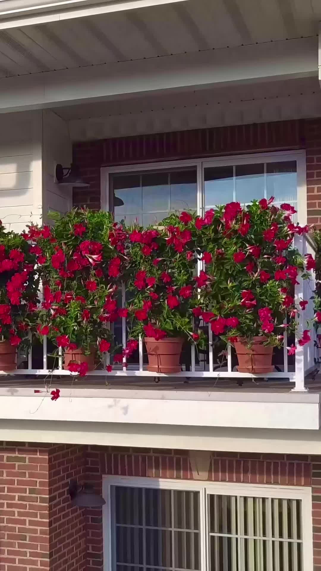 @PlantTraps