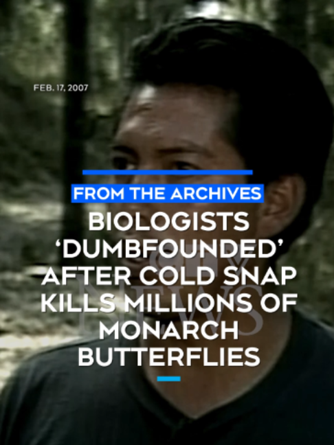 @CTVNews