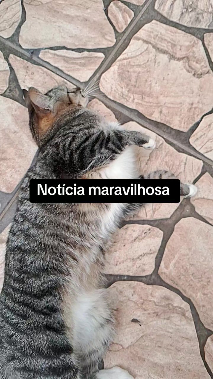 @lua
