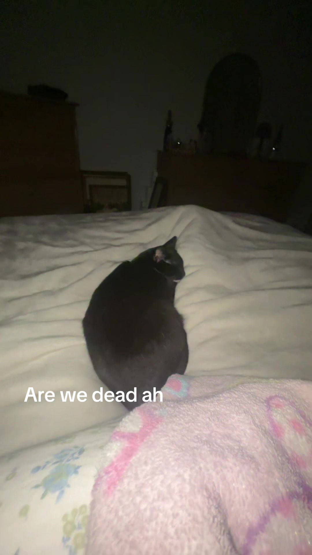 @Viv