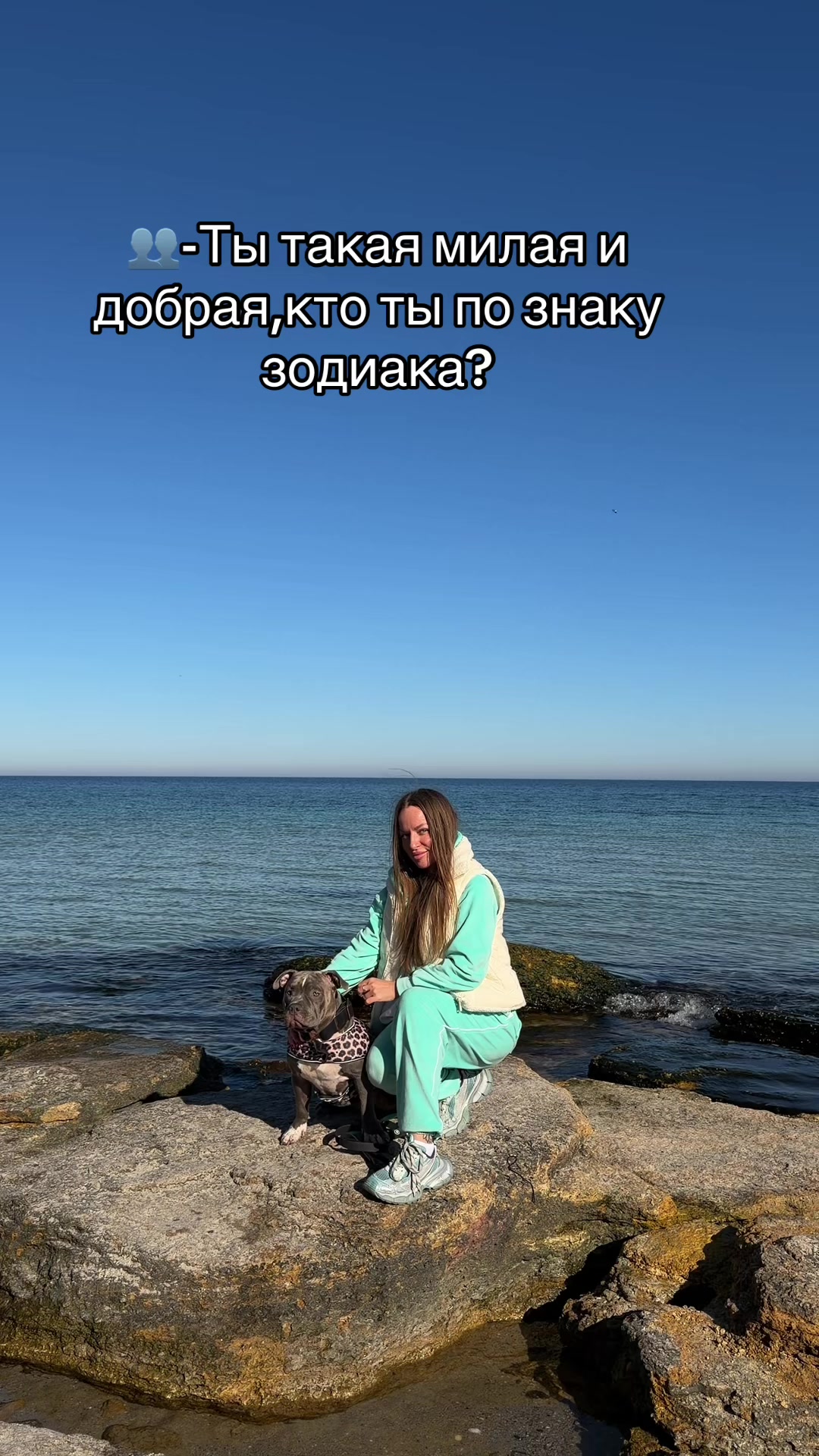 @Odessa Bully kennel