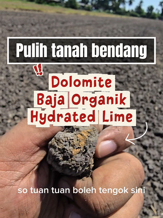 @Brobendang