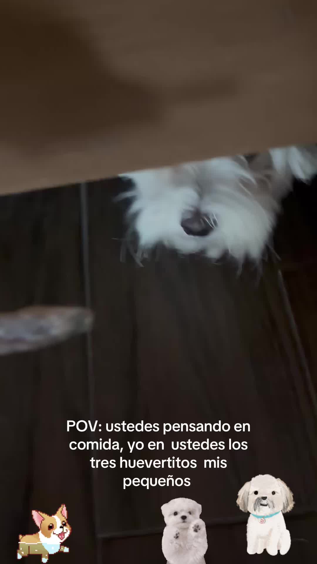 @los3huevertos