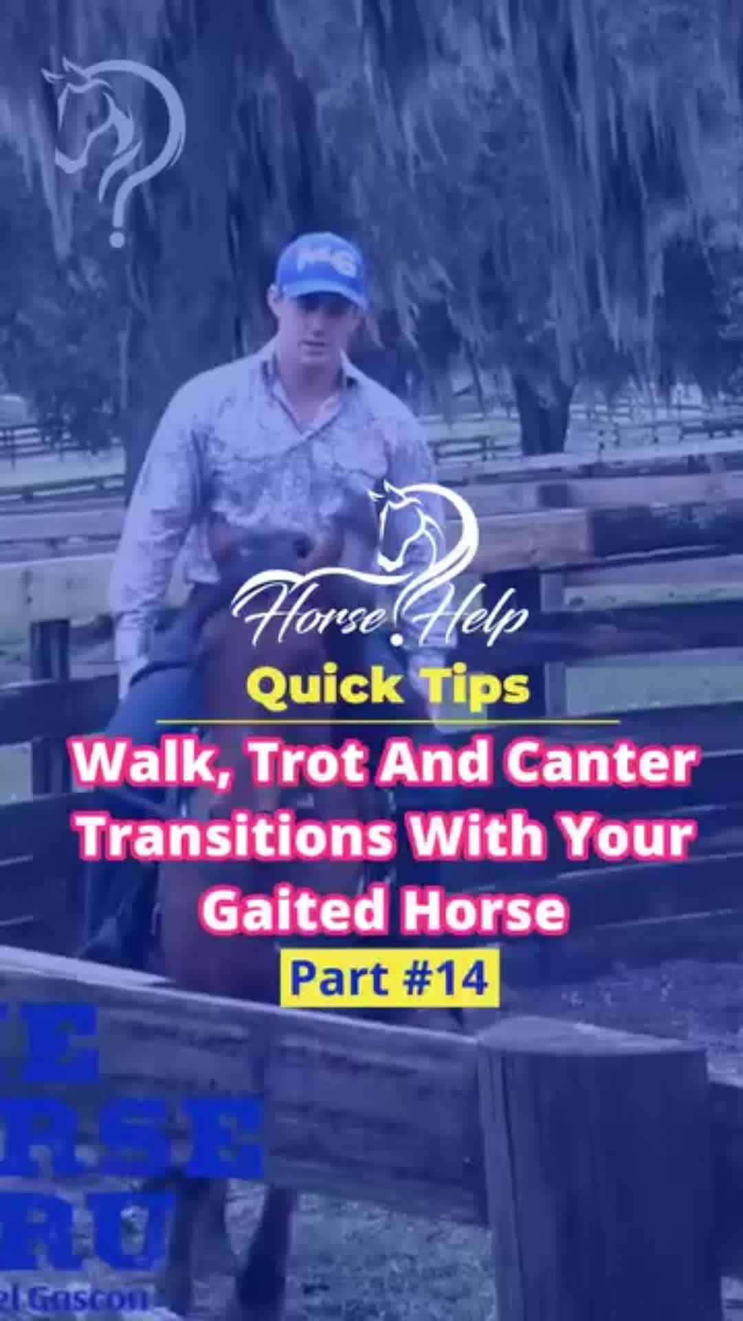 @Horse Help