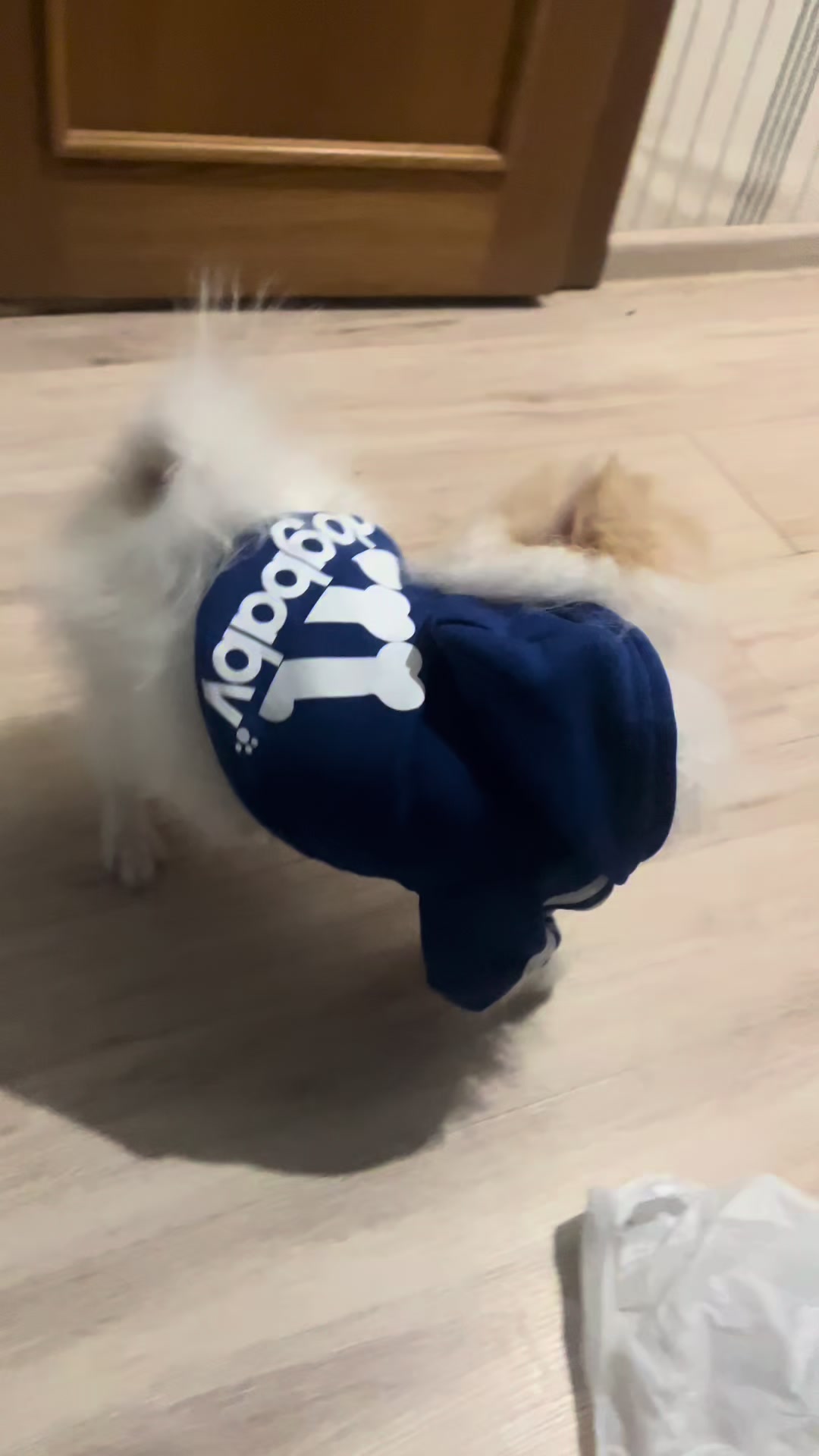 @๐ฐ ๐ด๐๐๐๐๐๐๐๐ ๐ฐ