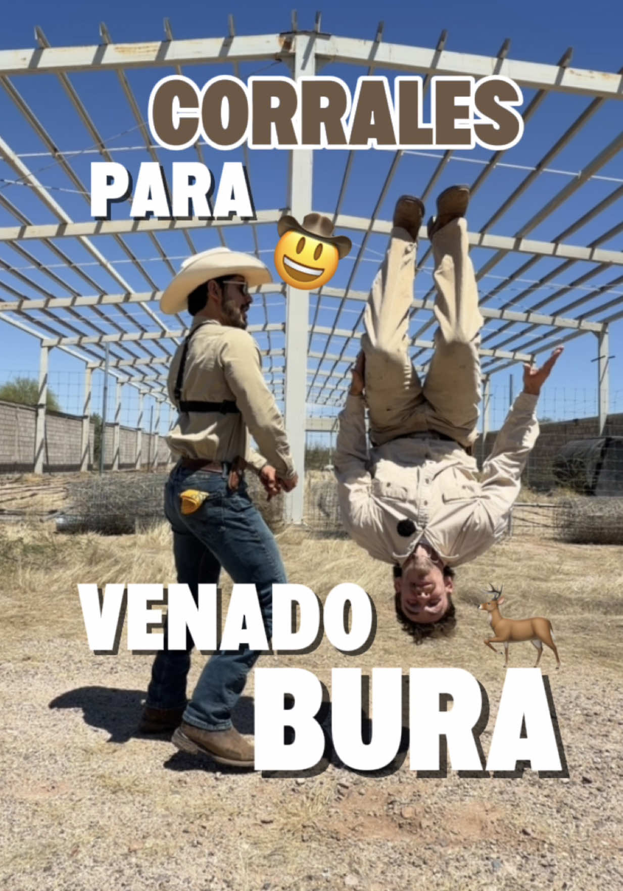 @Alejandro Molina