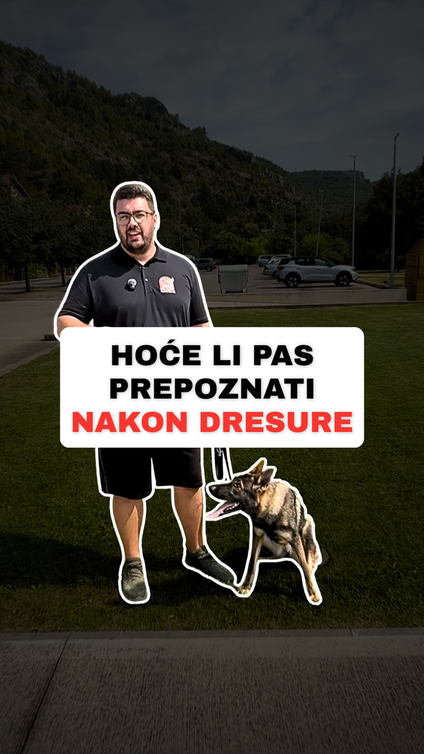 @superdog.akademija